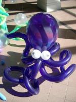 Octopus $70