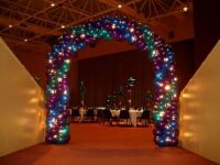 Adding Fairy Lights $400