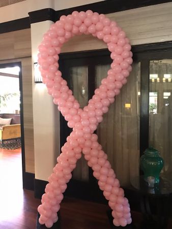 Pink Ribbon Hire $250